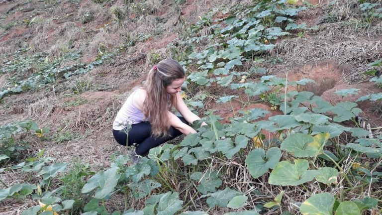 Leia mais sobre o artigo Mesmo durante a pandemia a Pedagogia da Alternância não para